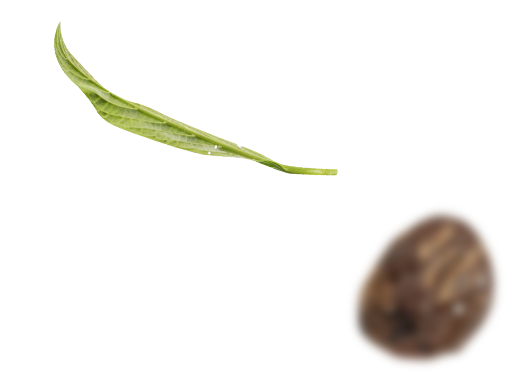 Pass it on