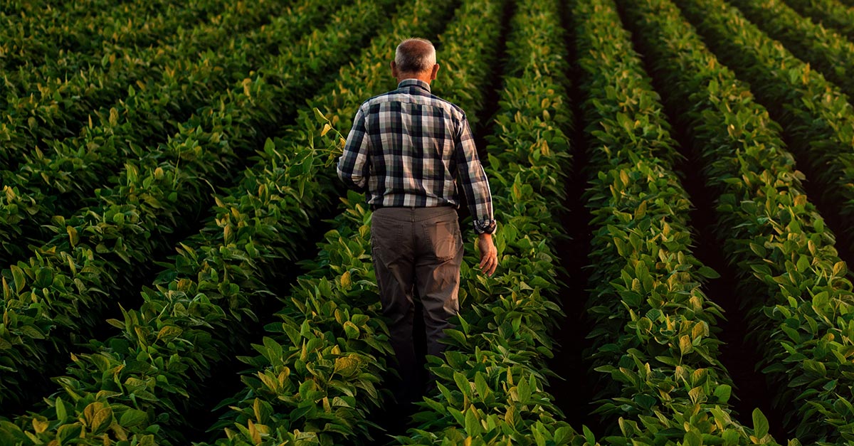 Top 25 Agricultural Marketing Agencies of 2026