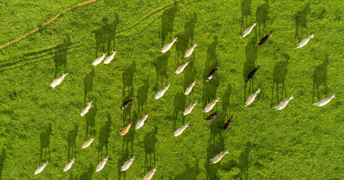 EuroTier B2B Marketing Trends