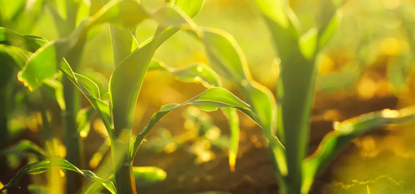 Top 10 Best Agriculture Marketing Agencies in USA of 2026