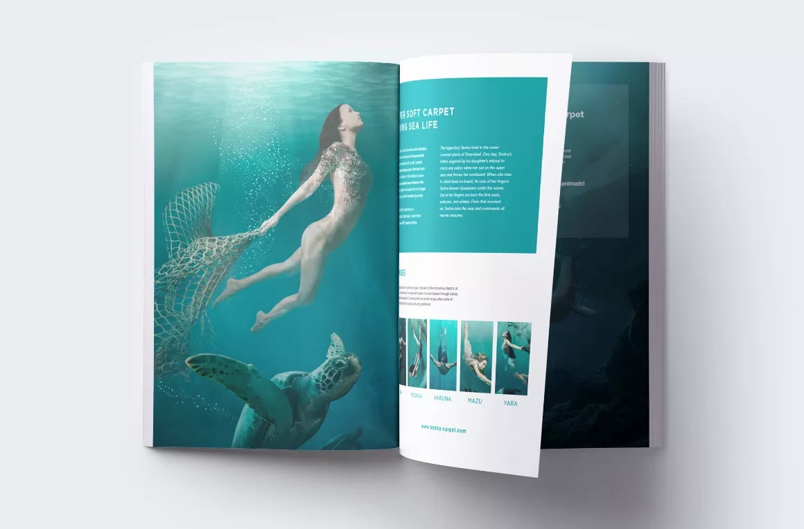 Sedna brochure