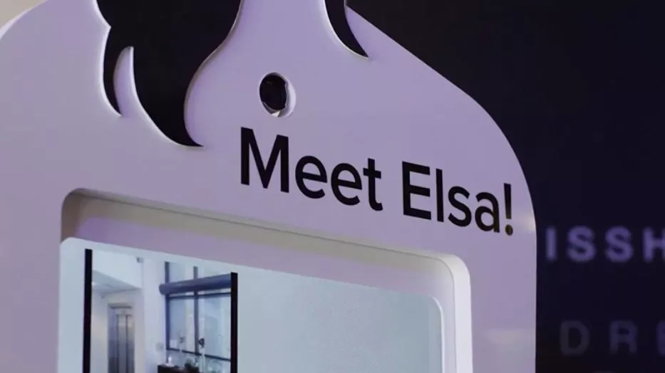 Totem experience that introduces Elsa as AI companion