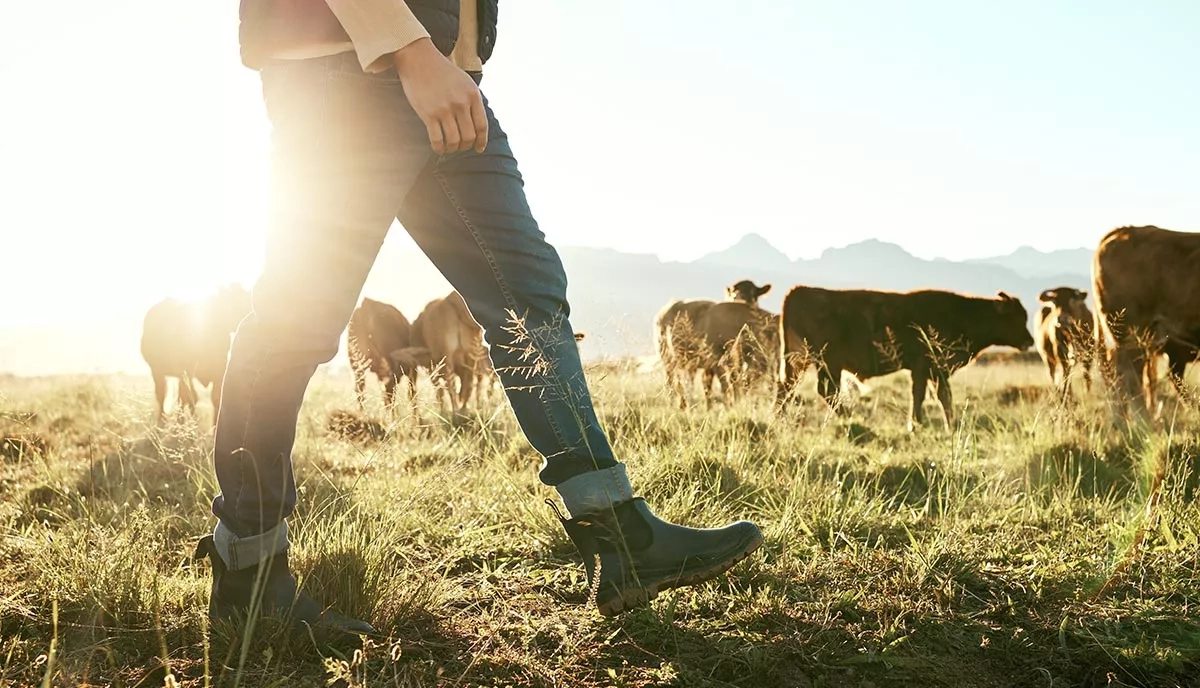 B2B marketing trends agritech animal farming