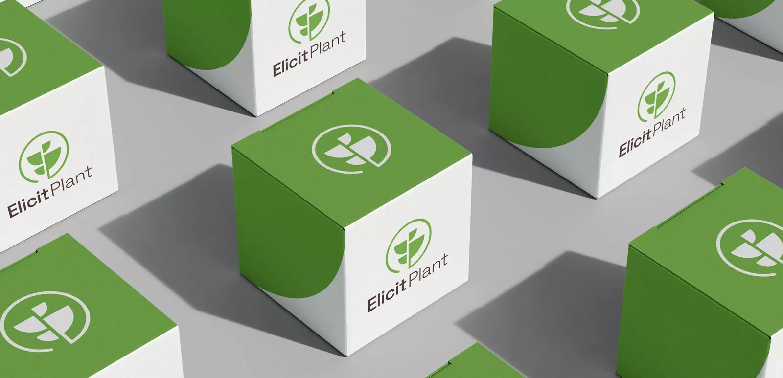 Elicit Plant - Brand Redesign 