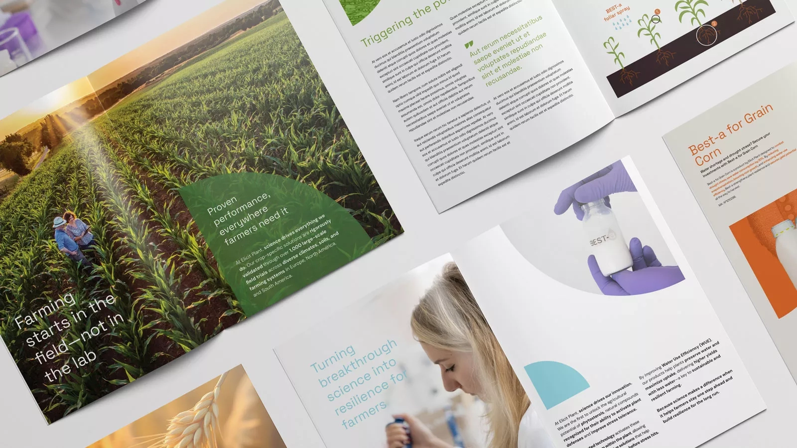 Elicit Plant - Brand Redesign 