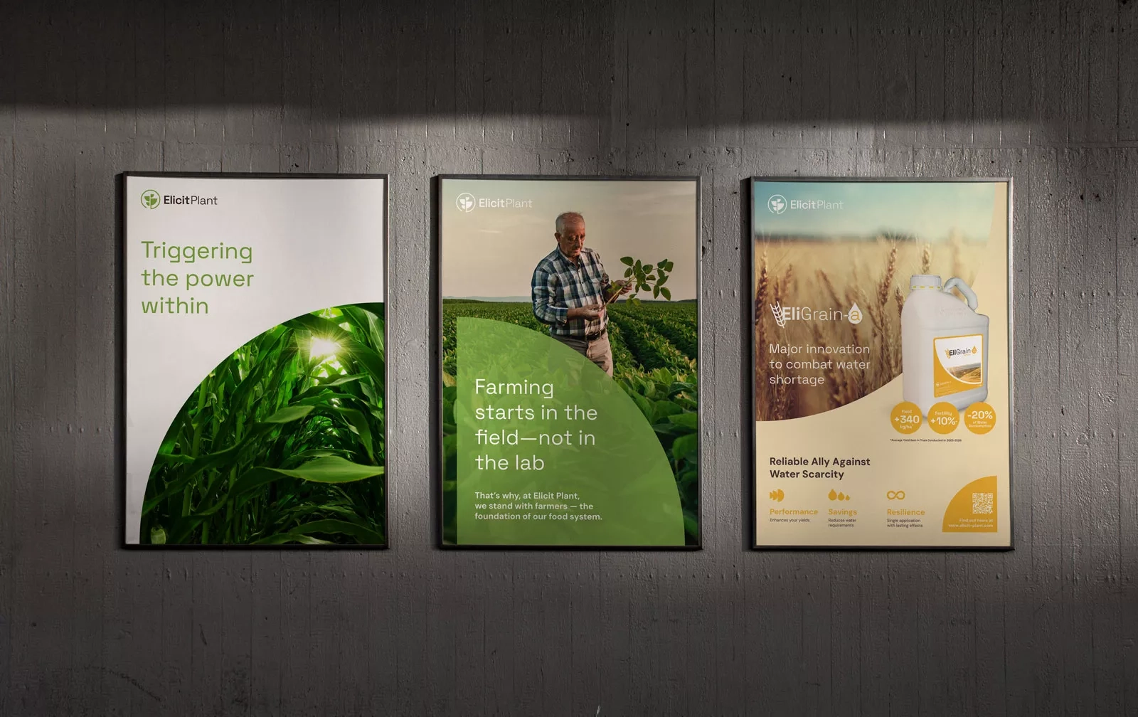 Elicit Plant - Brand Redesign 