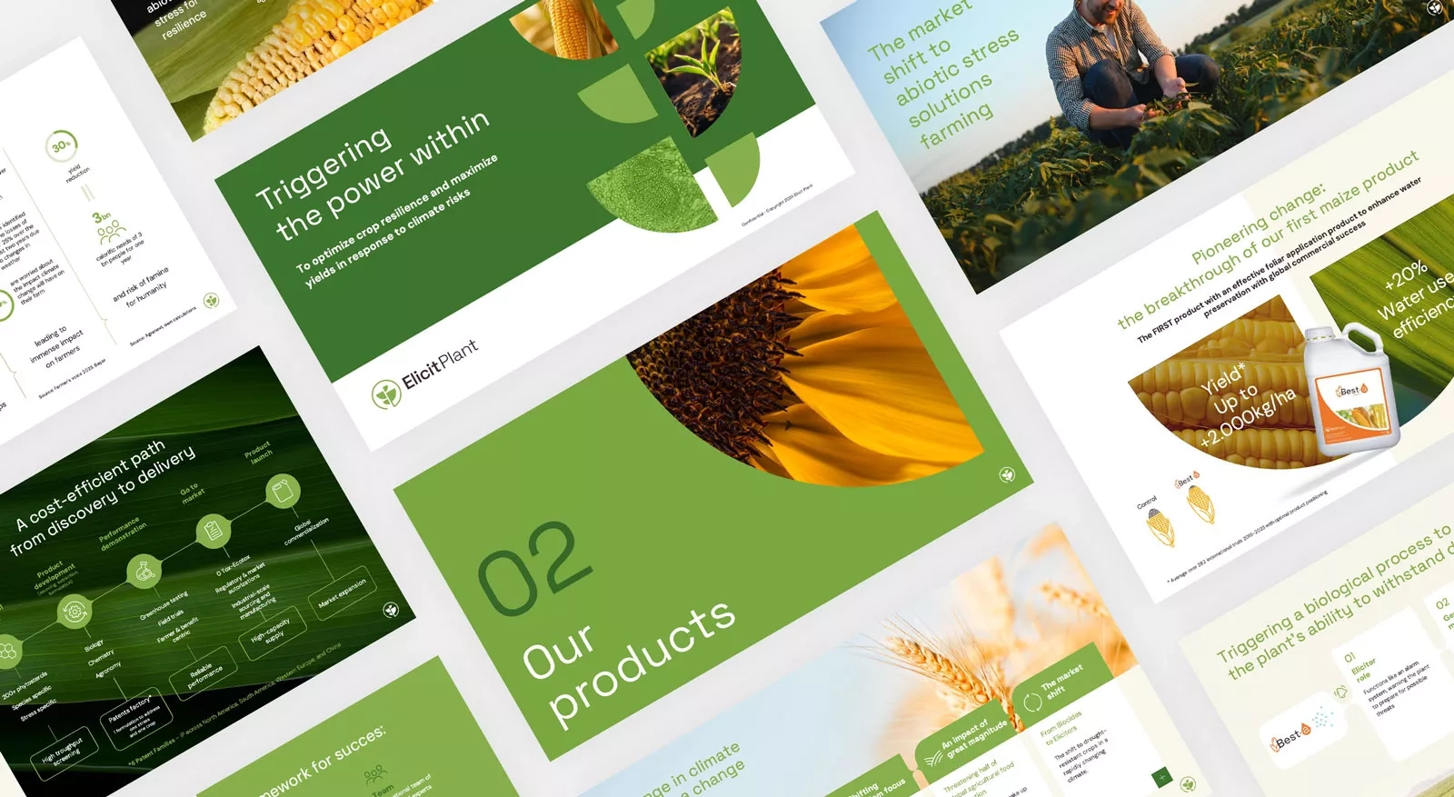Elicit Plant - Brand Redesign 