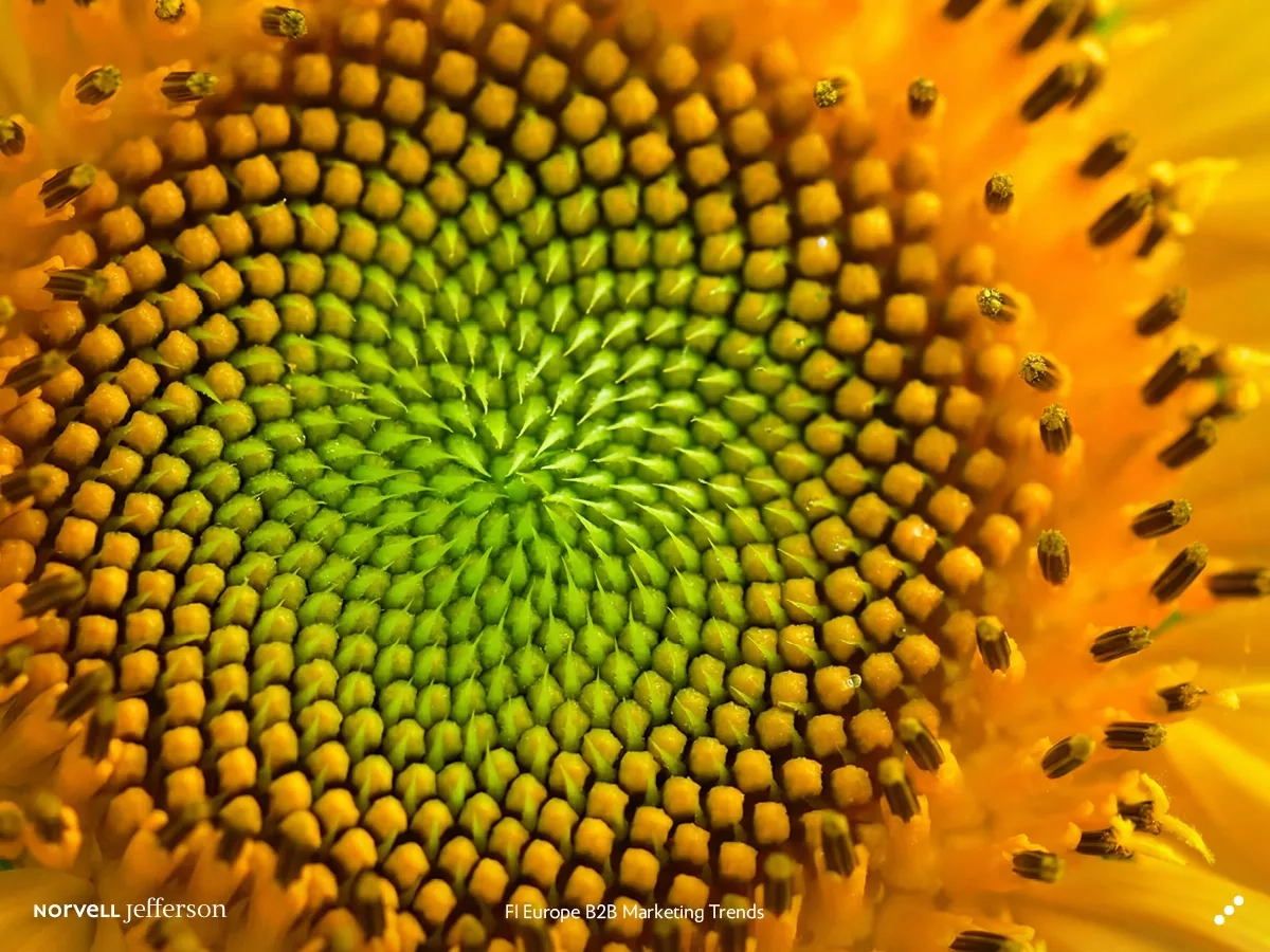 fi europe b2b marketing trends cross sector synergies and total solutions