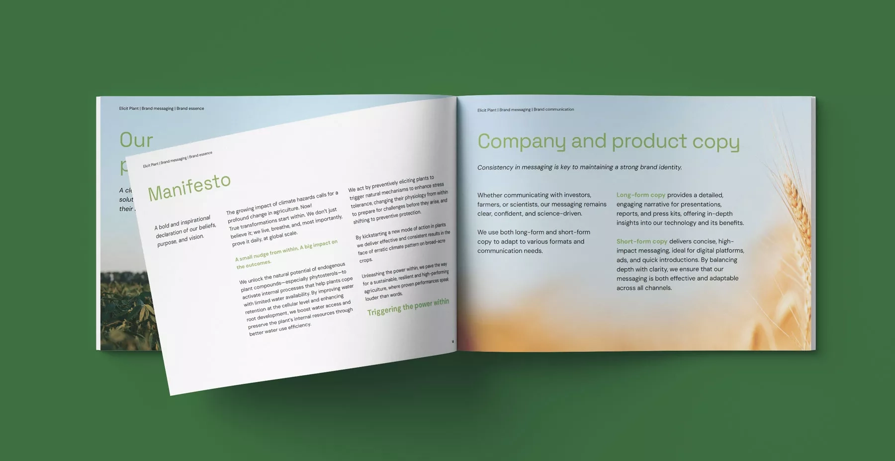 Elicit Plant - Brand Redesign 