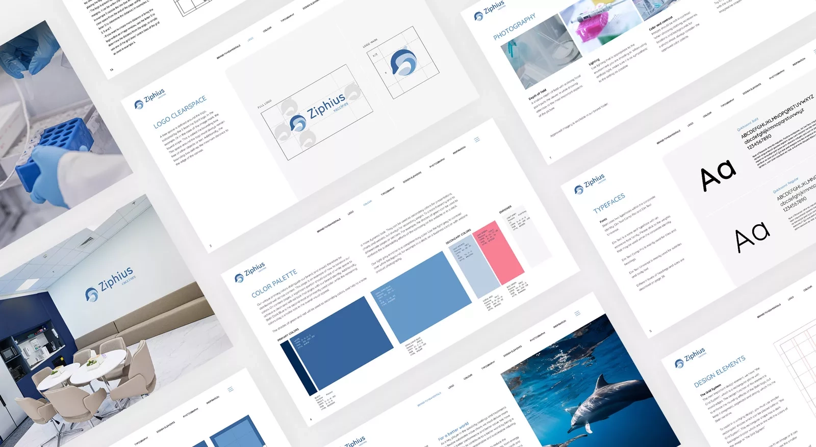Ziphius - Rebranding and website - Brandbook