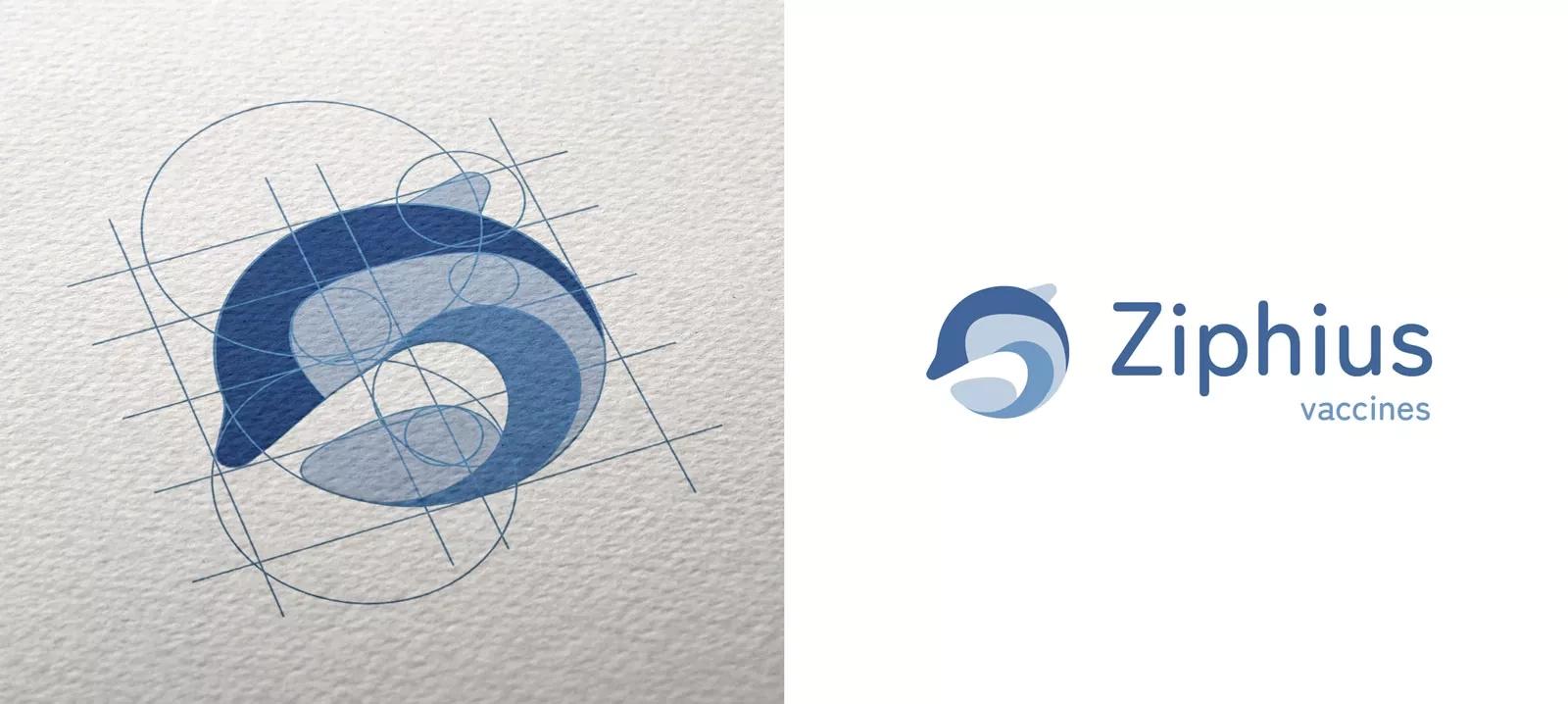 Ziphius - Rebranding and website - Logo