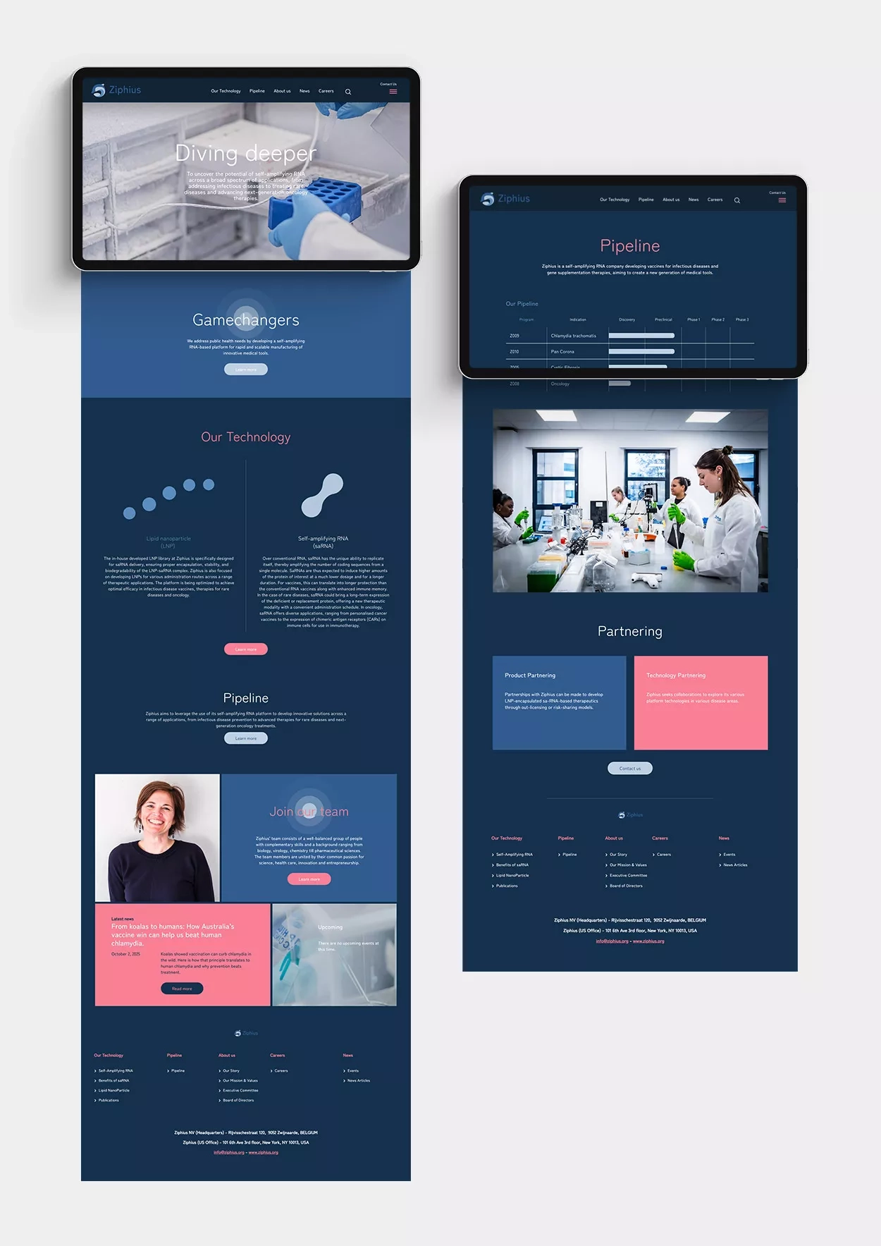 Ziphius - Rebranding and website - Website