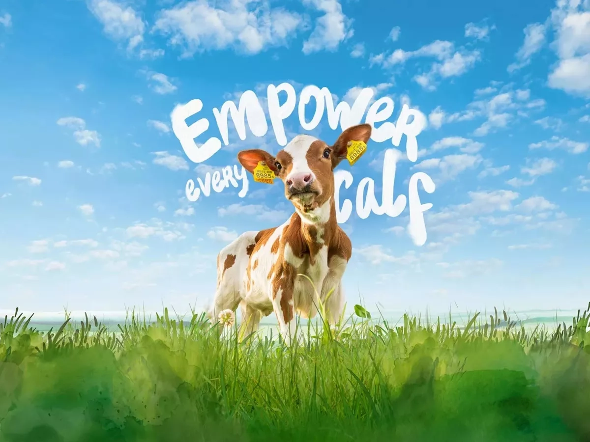 best-agrifood-marketing-campaigns-and-branding-examples-8-client-cases-(2026)