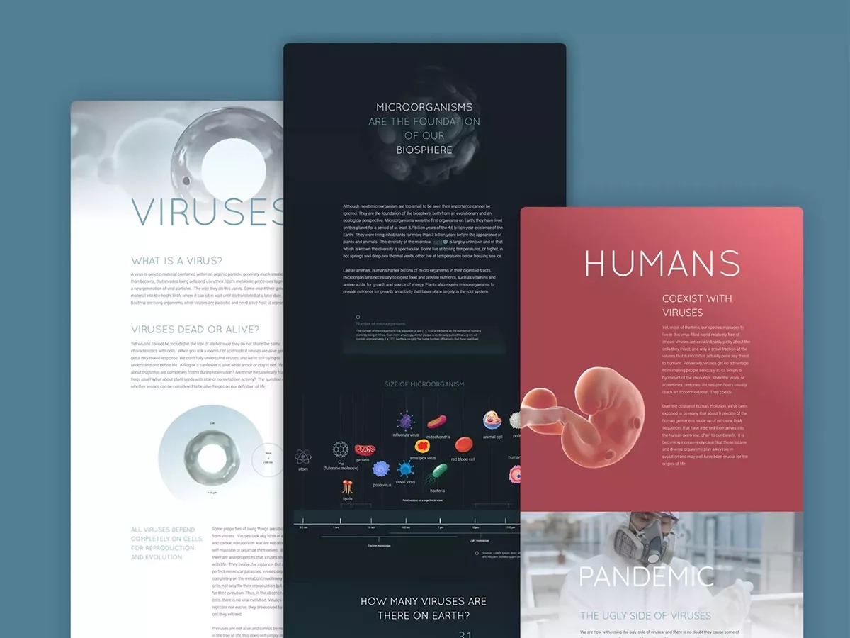 best-healthcare-marketing-campaigns-12-standout-client-cases-(2026)