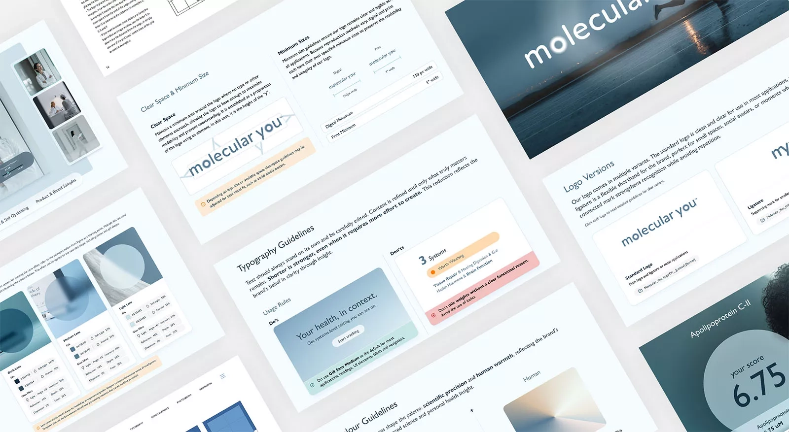 Collage Of The Molecular You Brand Book Pages