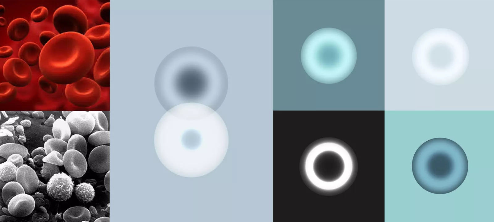 Collage Of Blood Cell Brand Exploration